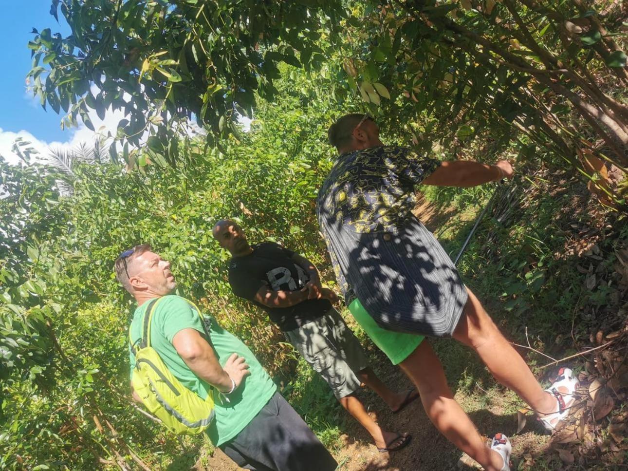 Dinuli Home Stay Ahungalla Dış mekan fotoğraf